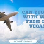 Can You Fly with Weed from Las Vegas? | Pure Weed Reviews