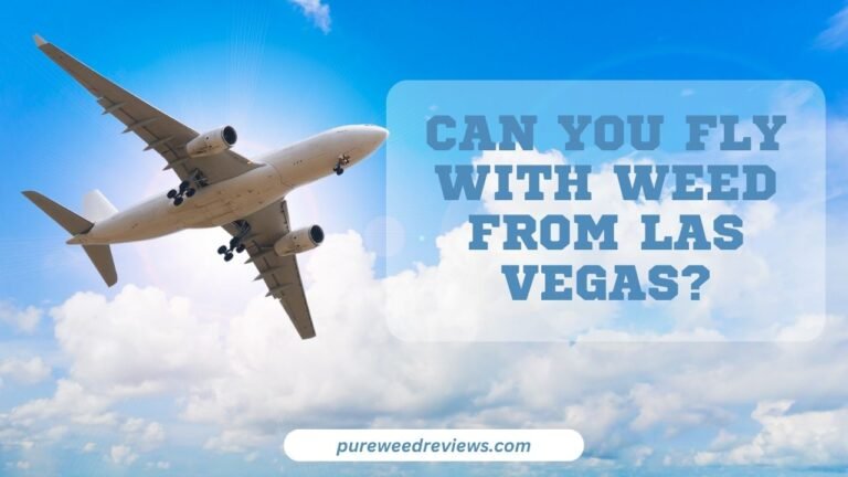 Can You Fly with Weed from Las Vegas? | Pure Weed Reviews