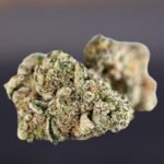 Sherb Cake Strain Review 2024 (Updated)