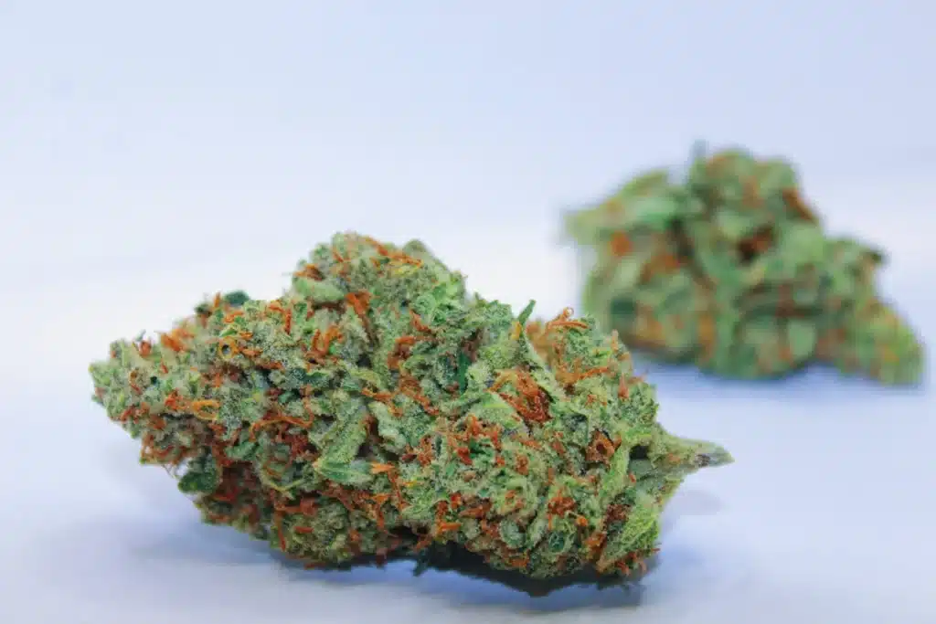 Zkittlez Strain Review 2024 (Updated) | Pure Weed Reviews