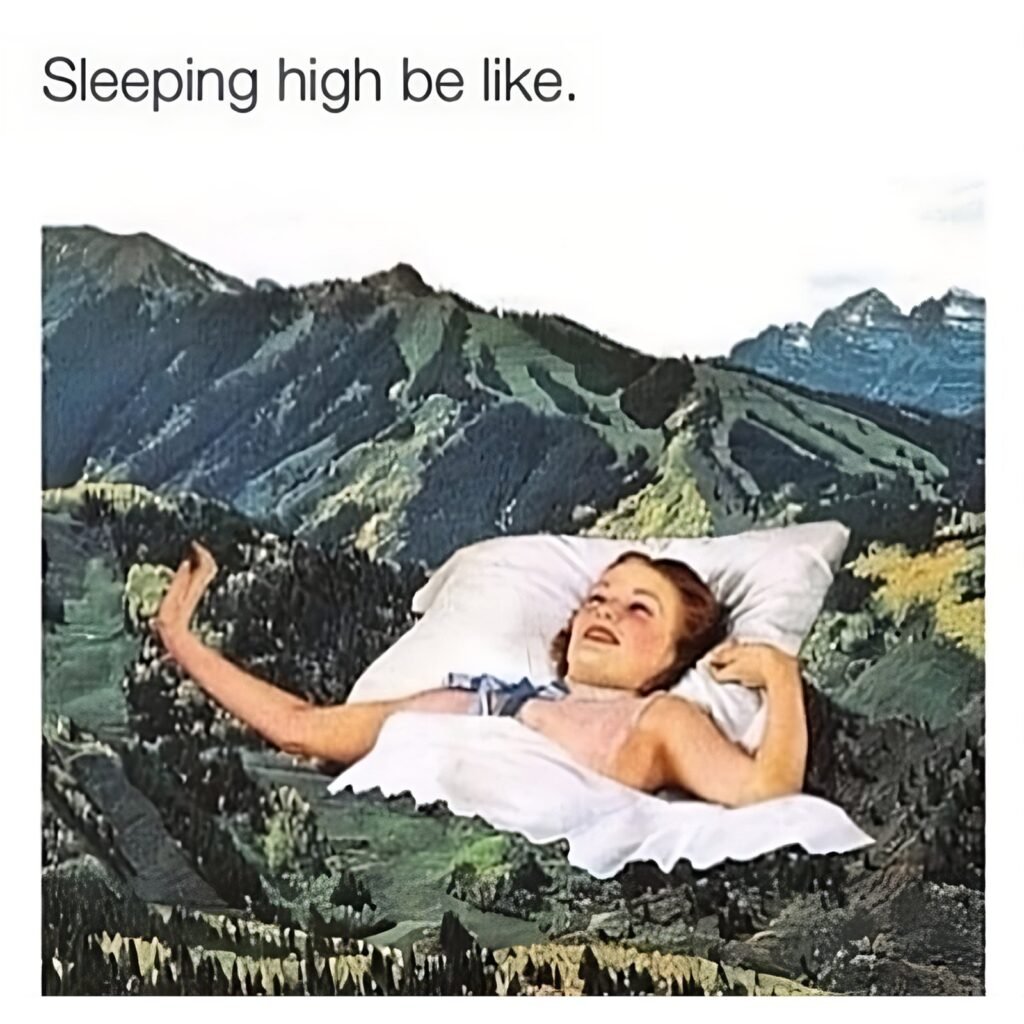 30 Best Weed Memes Every Stoner Will Love to Share